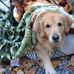 Raymond Ewing - Facebook