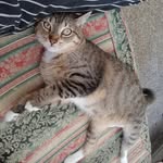 Raymond Falcon - @raymondfalcon - Instagram