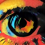 Raymond Feel - @raymond.feel - Instagram