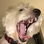 Raymond Mc Feely - @raymondfeely - Instagram