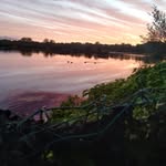Raymond Finet - @raymondfinet - Instagram