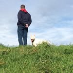 Raymond Finlay - @raybullterrier - Instagram