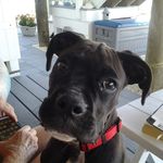 Raymond Flack - @ronflack5463 - Instagram