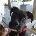 Raymond Flack - Facebook