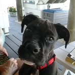Raymond Flack - Facebook