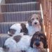 Raymond Foote - Facebook