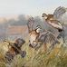 Raymond Foote - Facebook