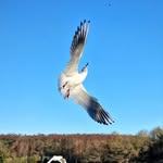 Ray Forster - @raymondforsters - Instagram