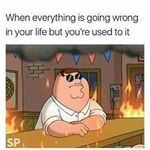 Raymond Freese - @raymond.freese.92 - Instagram
