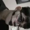 Raymond Friedman - @raymondfriedman684 - TikTok