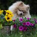 Raymond Friedrich - Facebook