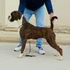 Raymond Galea - @raymond.galea4 - TikTok