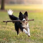 Raymond Halbert - @raymond.halbert - Instagram