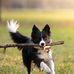 Raymond Halbert - Facebook
