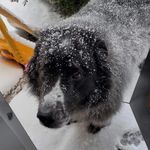 Raymond Halbert - @halbertraymond - Instagram