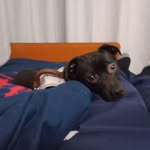 Raymond Hammer - @hammer_raymond - Instagram