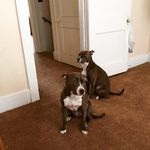 Raymond Hampton - @hampton.raymond - Instagram