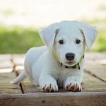 raymond hampton - @raymondhampton365 - Instagram