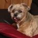 Raymond Harding - Facebook