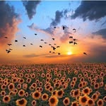 Raymond Hauser - @raymondhauser4121 - Instagram