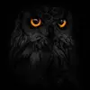 Ray Hedlund - @ryzzn5963 - TikTok