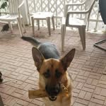 Raymond Herring - @raymond.herring.73 - Instagram