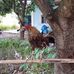 Raymond Holley - Facebook