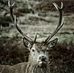 Raymond Hollinger - Facebook