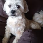 Raymond Hope - @raymondzzzhotmail.co.uk - Instagram
