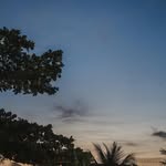 Raymond Hopper - @raymondhopper36 - Instagram