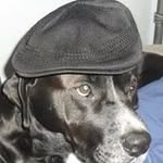 Raymond Hubert - @raymond.hubert.9674 - Instagram