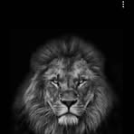 Raymond Hubert - Facebook