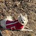 Ray Huskey - Facebook