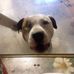 Raymond Ingham - Facebook