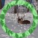 Ray Iverson - Facebook