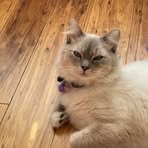 Raymond Ivey - Facebook
