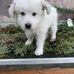 Jonas Raymond - Facebook