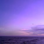 Raymond Junior - @8590raymond - Instagram