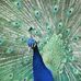 Raymond Knuth - Facebook