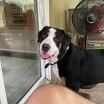 Raymond Kossmann - @kossmannraymond - Instagram