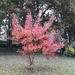 Raymond Labonté - @labonteraymond7424 - Instagram