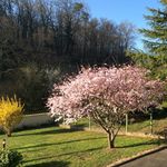 Raymond Labonté - @labonte.raymond7 - Instagram