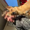 Raymond Larkin - @raymond_larkin - TikTok
