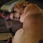 Raymond Langdon - @langdon.raymond.1960 - Instagram