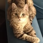 Raymond LaRose - @raymond.p.larose - Instagram