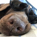 Jean-Raymond Lefebvre - @lefebvrejeanraymond - Instagram