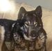 Raymond Legault - Facebook