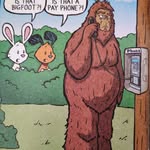 Raymond Lister - @raymondlister74 - Instagram