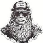 Raymond Lister - @rally24793 - Instagram
