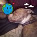 Raymond Lloyd - Facebook